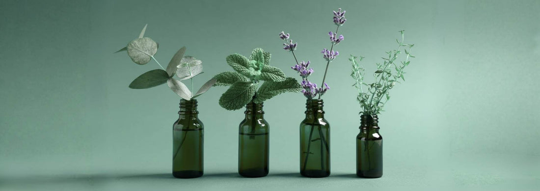 Essential Oil Benefits: Enhance Wellness Naturally - Sens Ēve