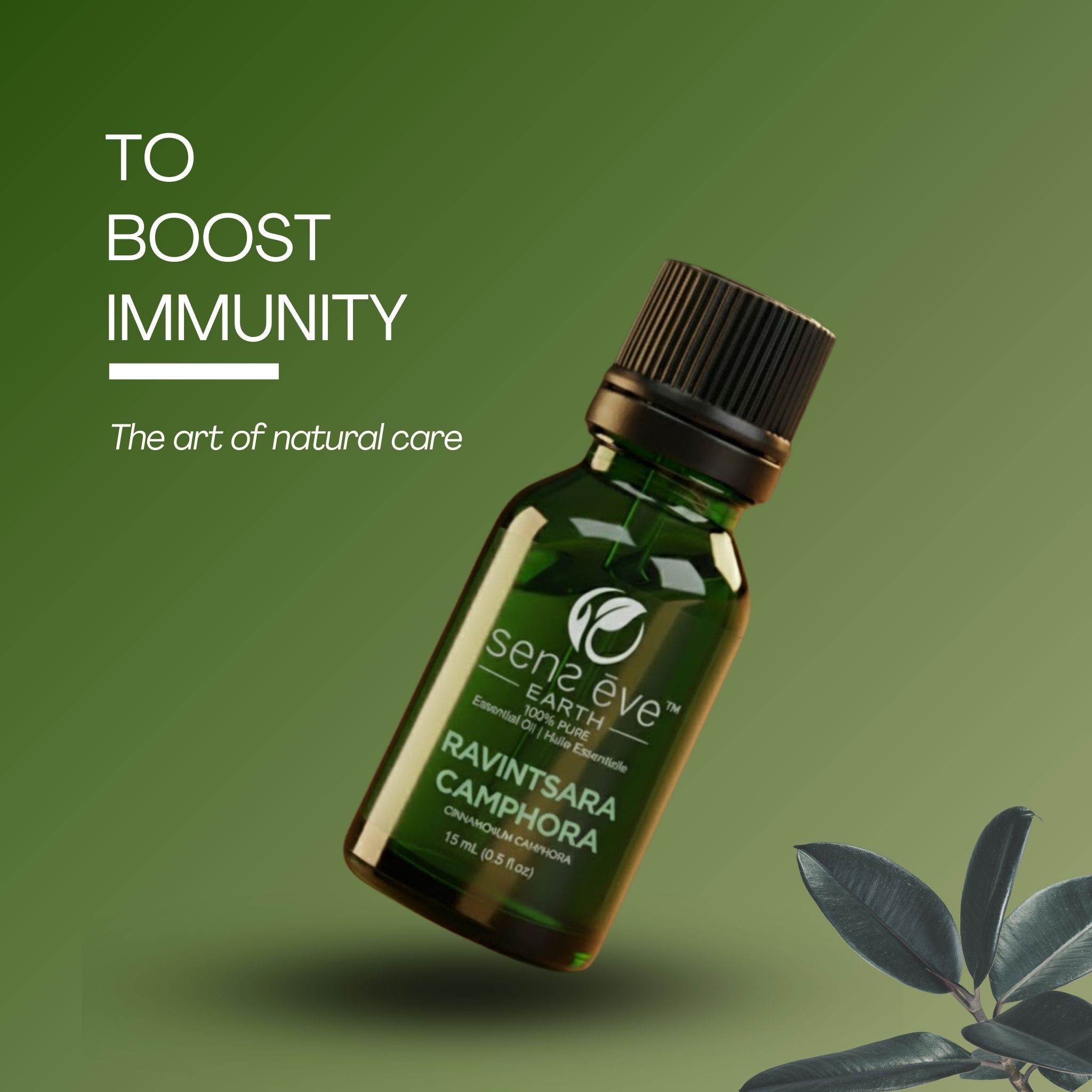 Immunity - Sens Ēve