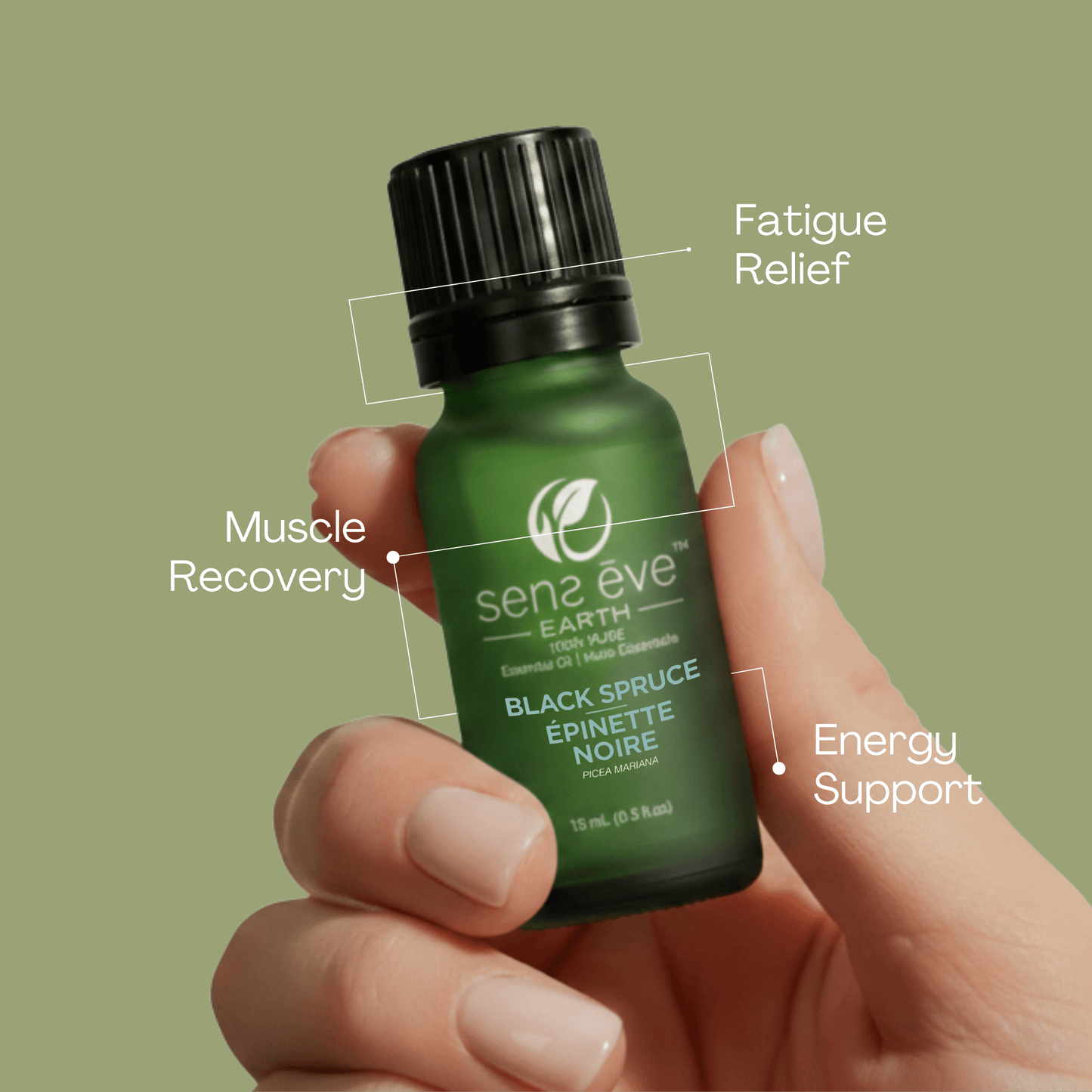 Black Spruce 100% Pure & Natural Essential Oil - Sens Eve - simple