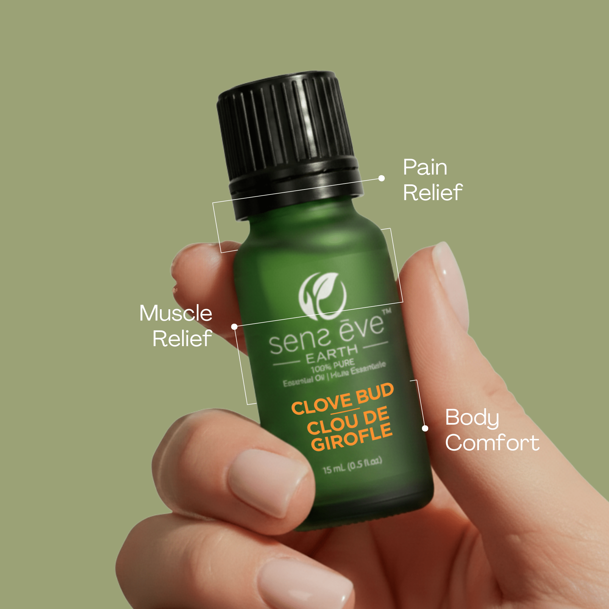 Clove Bud 100% Pure & Natural Essential Oil - Sens Eve - simple