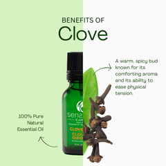 Clove Bud 100% Pure & Natural Essential Oil - Sens Eve - simple