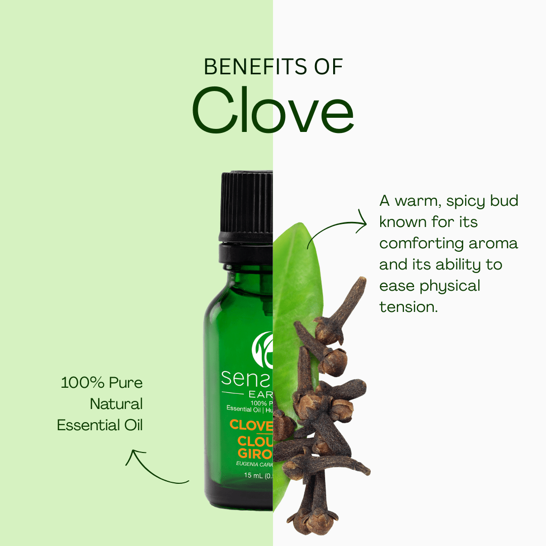 Clove Bud 100% Pure & Natural Essential Oil - Sens Eve - simple