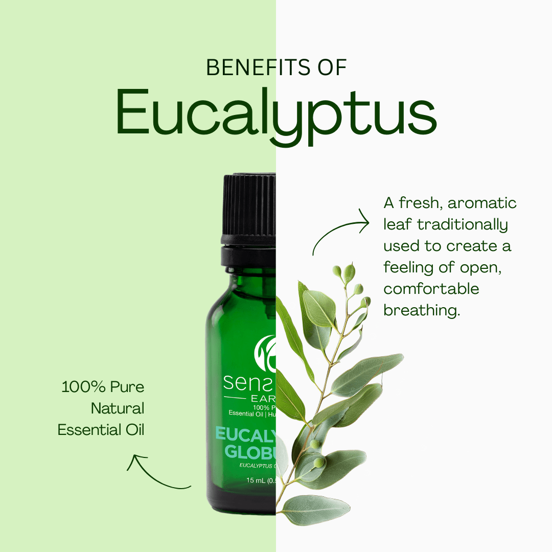 Eucalyptus essential oil for clear breathing, focus, and revitalizing energy