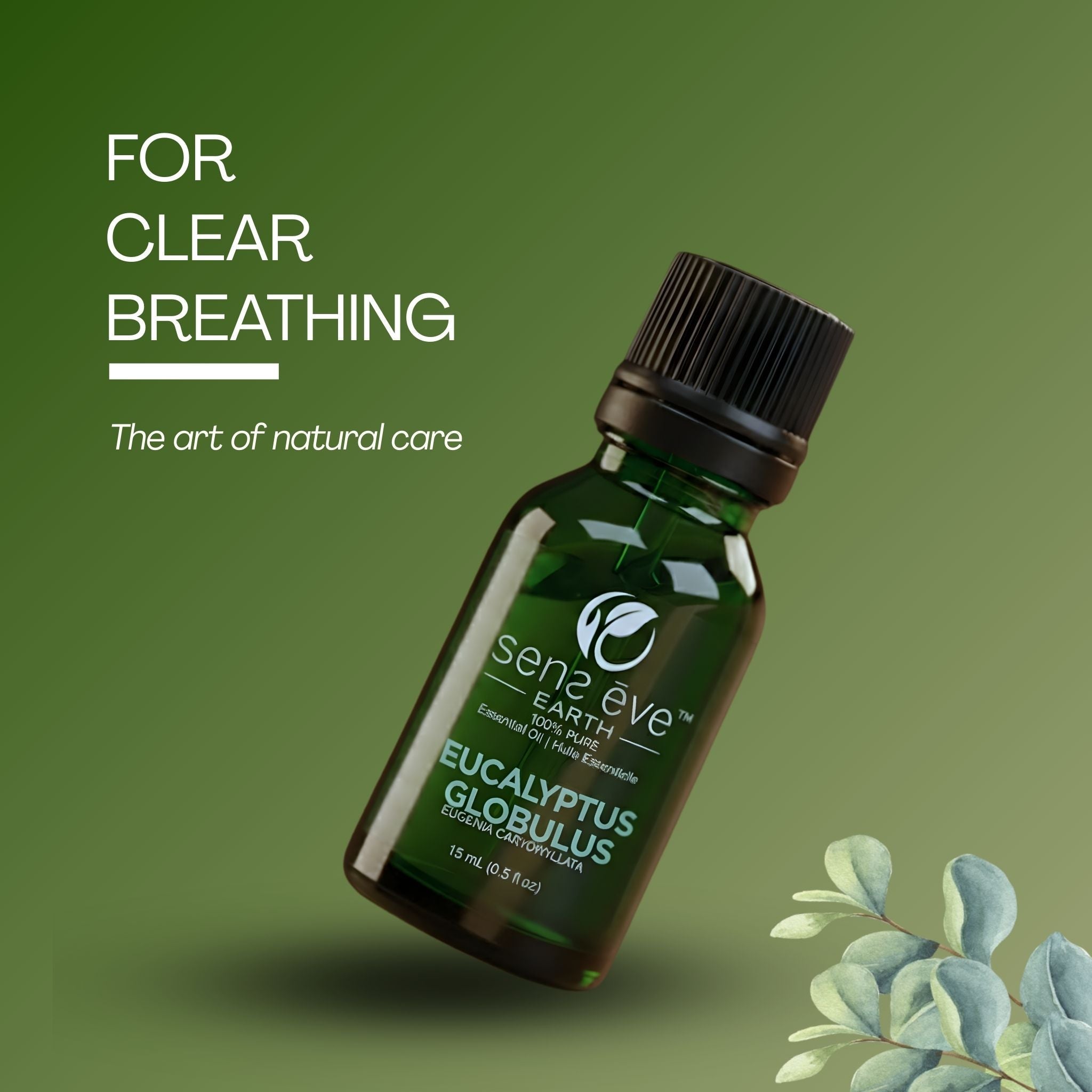Eucalyptus Globulus 100% Pure & Natural Essential Oil - Sens Eve - simple