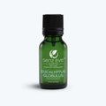 Eucalyptus Globulus 100% Pure & Natural Essential Oil - Sens Ēve - simple