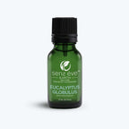 Eucalyptus Globulus 100% Pure & Natural Essential Oil - Sens Ēve - simple
