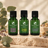 Kit Harmonie et Équilibre : Huiles essentielles apaisantes