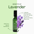 Lavender 100% Pure & Natural Essential Oil - Sens Eve - simple