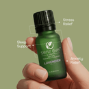 Lavender 100% Pure & Natural Essential Oil - Sens Eve - simple