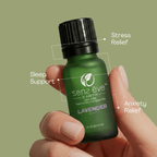 Lavender 100% Pure & Natural Essential Oil - Sens Eve - simple