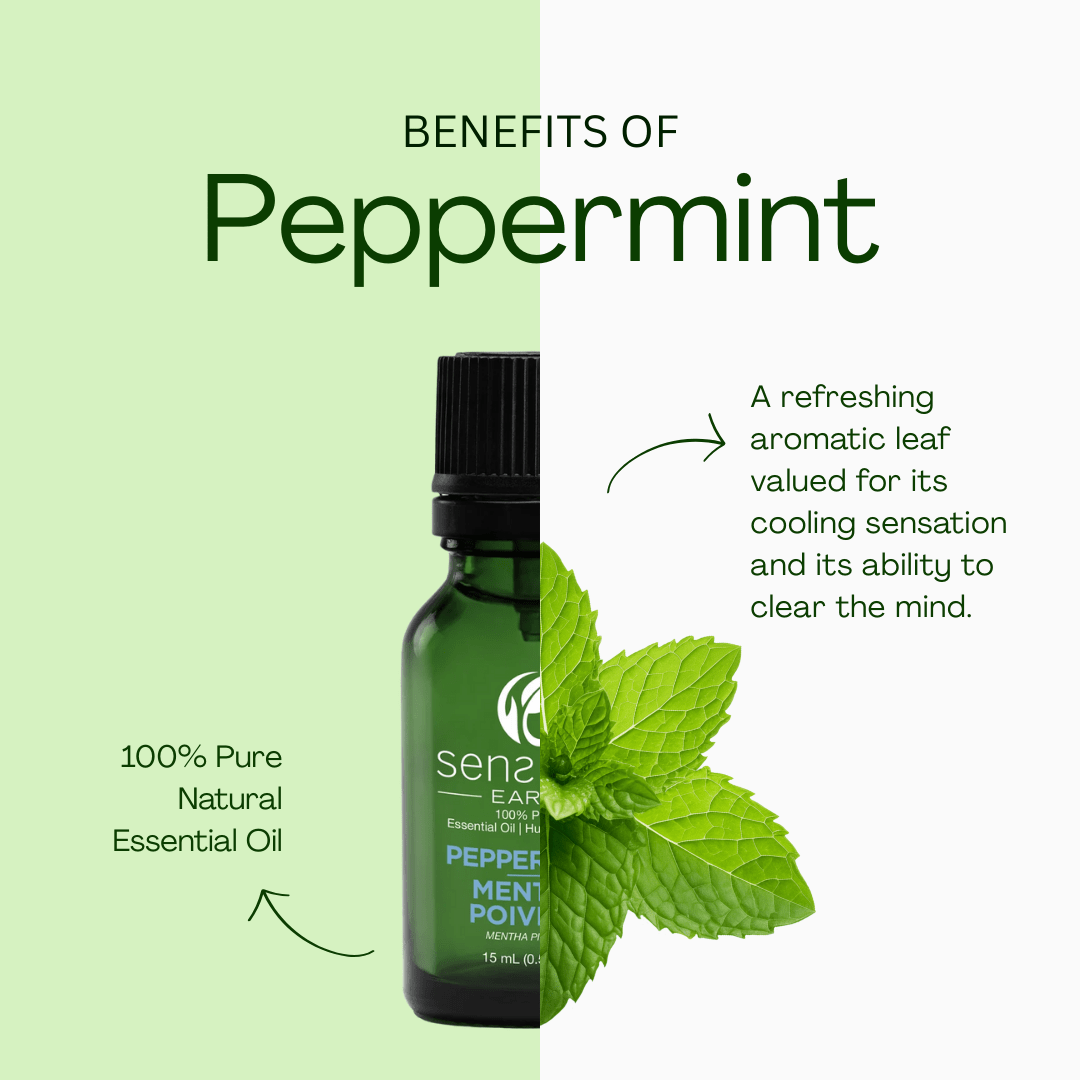 Peppermint 100% Pure & Natural Essential Oil - Sens Eve - simple