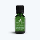 Ravintsara 100% Pure & Natural Essential Oil - Sens Ēve - simple
