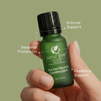 Ravintsara 100% Pure & Natural Essential Oil - Sens Eve - simple