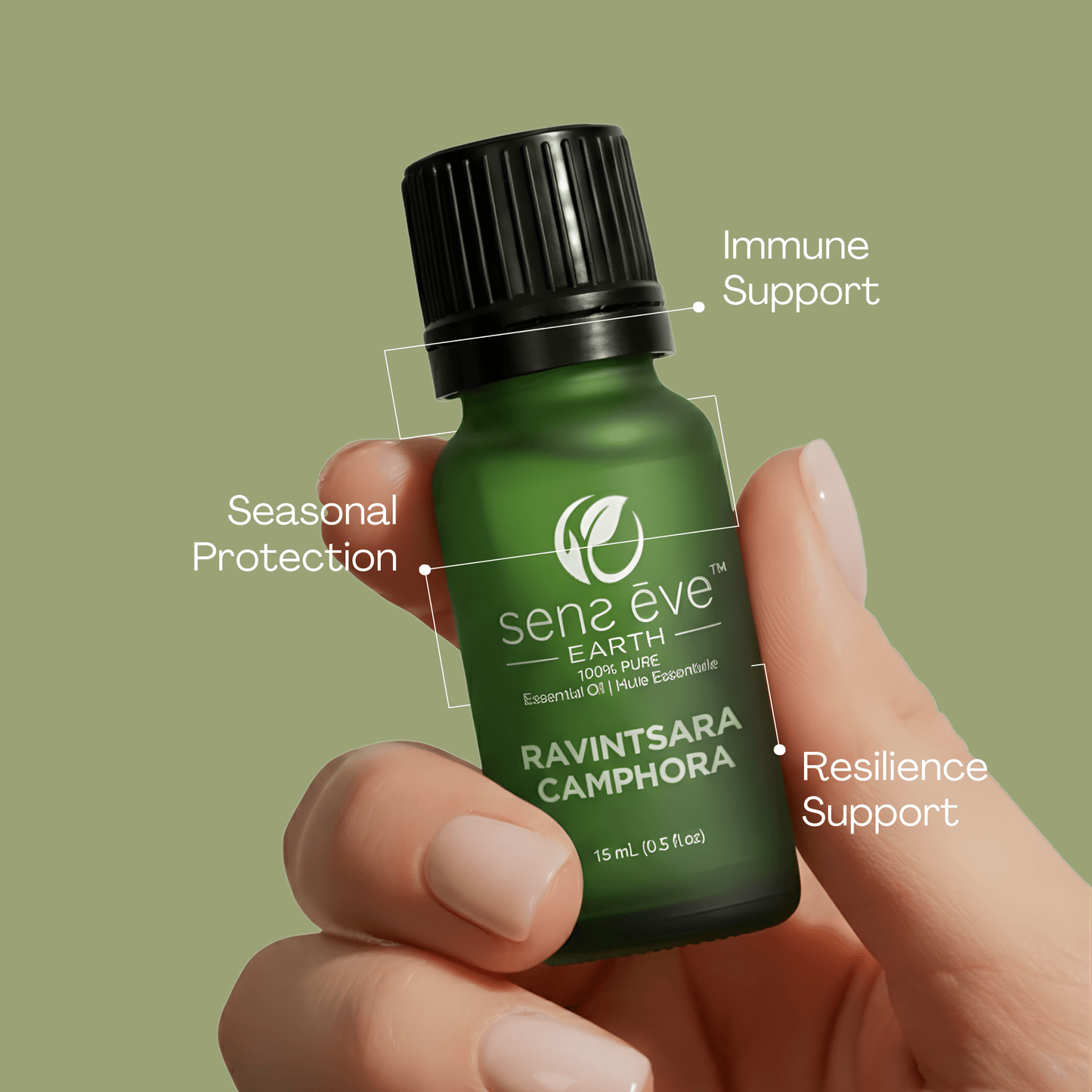 Ravintsara 100% Pure & Natural Essential Oil - Sens Eve - simple