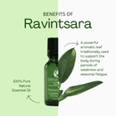 Ravintsara essential oil to support seasonal balance and well-being