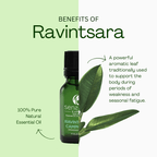 Ravintsara essential oil to support seasonal balance and well-being