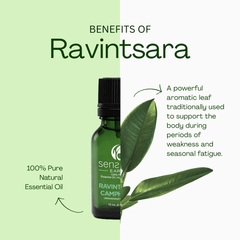Ravintsara 100% Pure & Natural Essential Oil - Sens Eve - simple