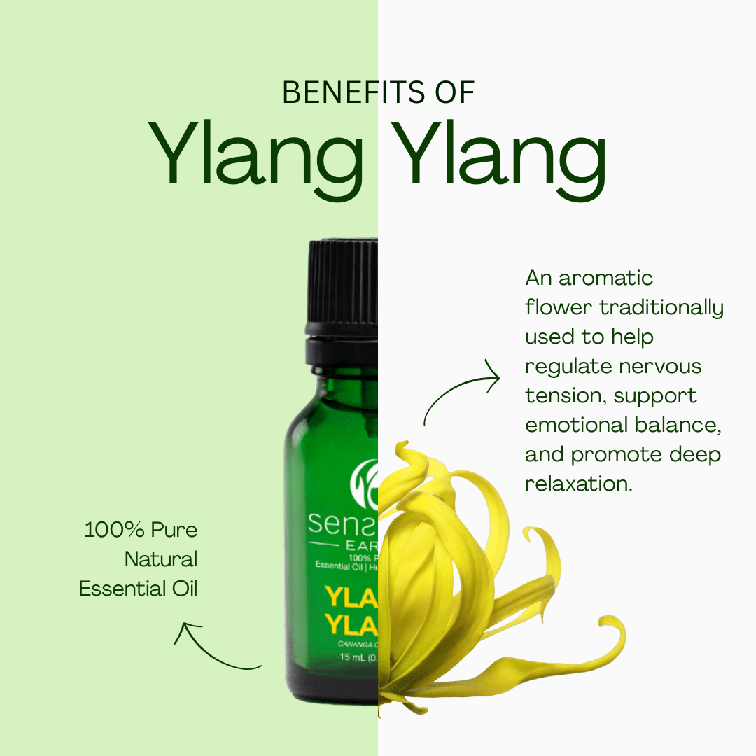 Ylang Ylang 100% Pure & Natural Essential Oil - Sens Eve - simple